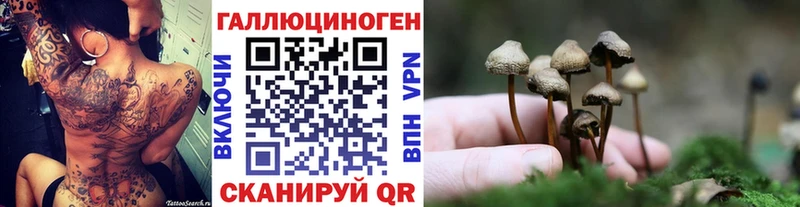 Галлюциногенные грибы Psilocybine cubensis  Купить закладки  Кола 